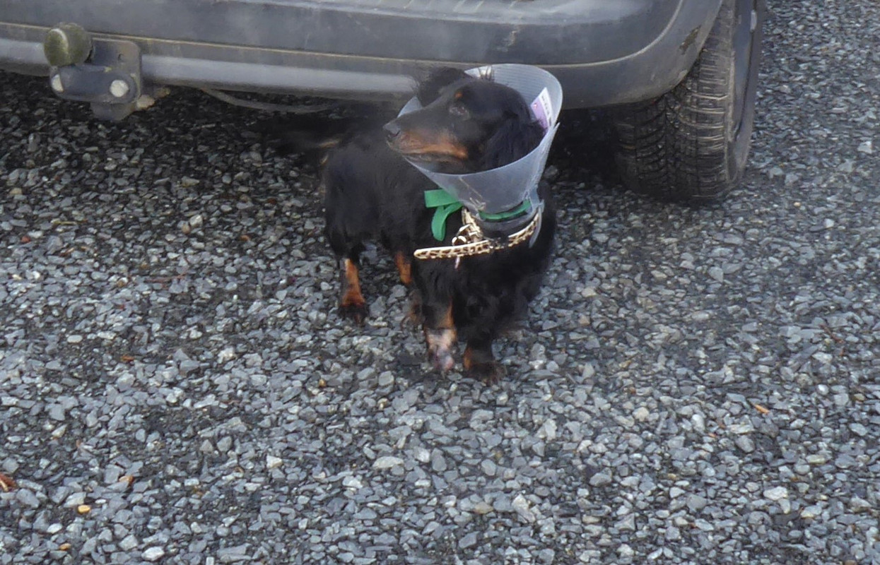 [Image: P1020578.jpg]