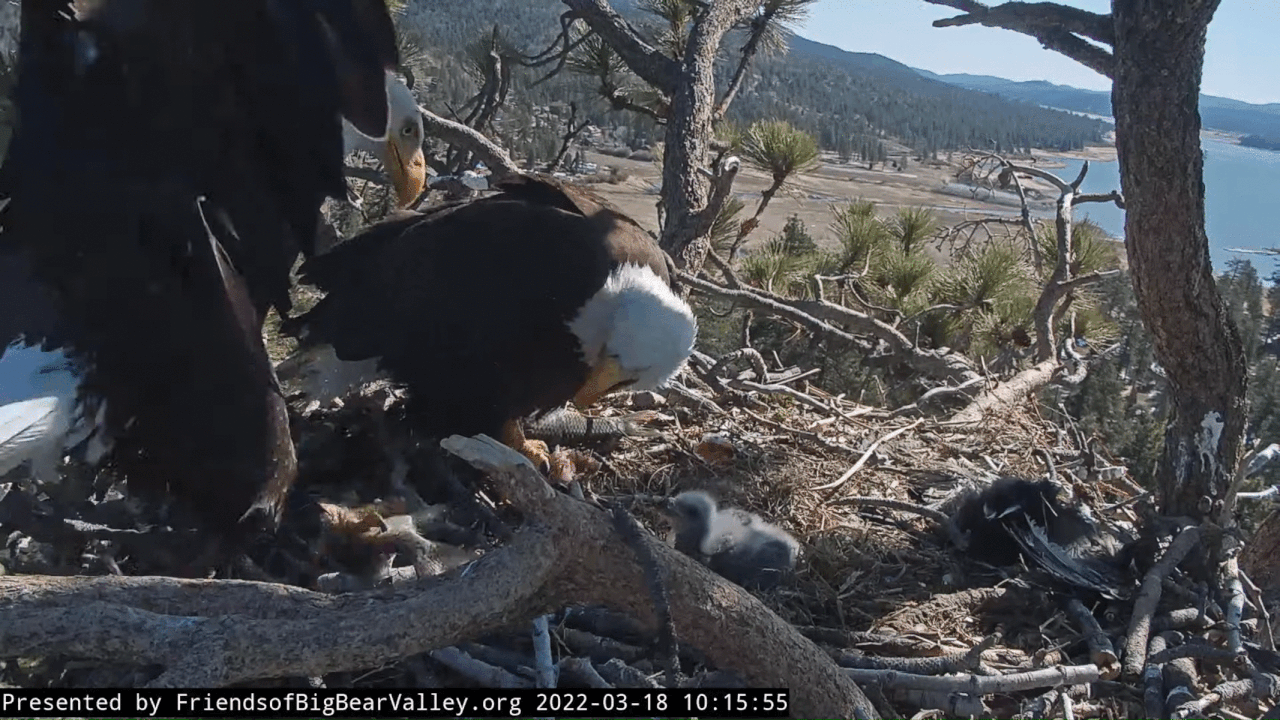 Webp.net-gifmaker (1)