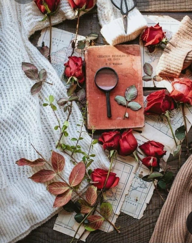 Screenshot_20230219_201216_Pinterest