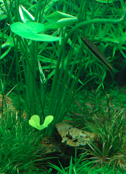 Screen Shot 2016-11-03 at 22.26.34