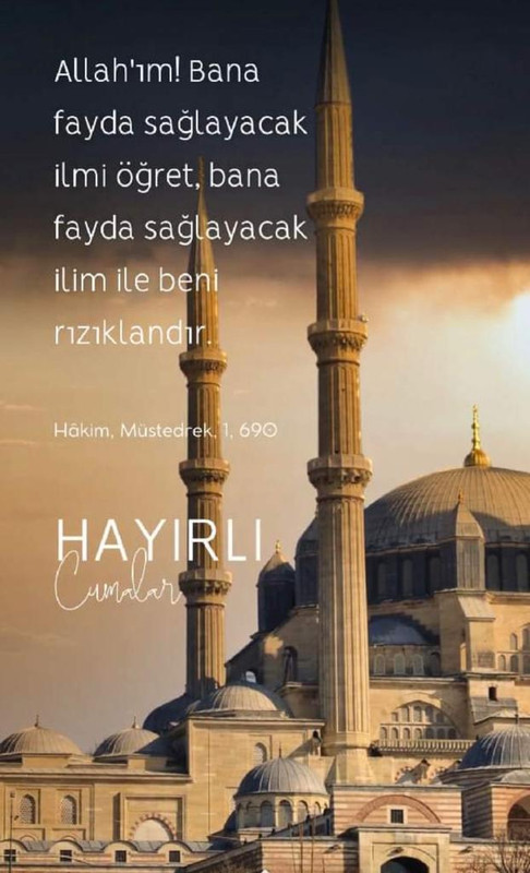 resim