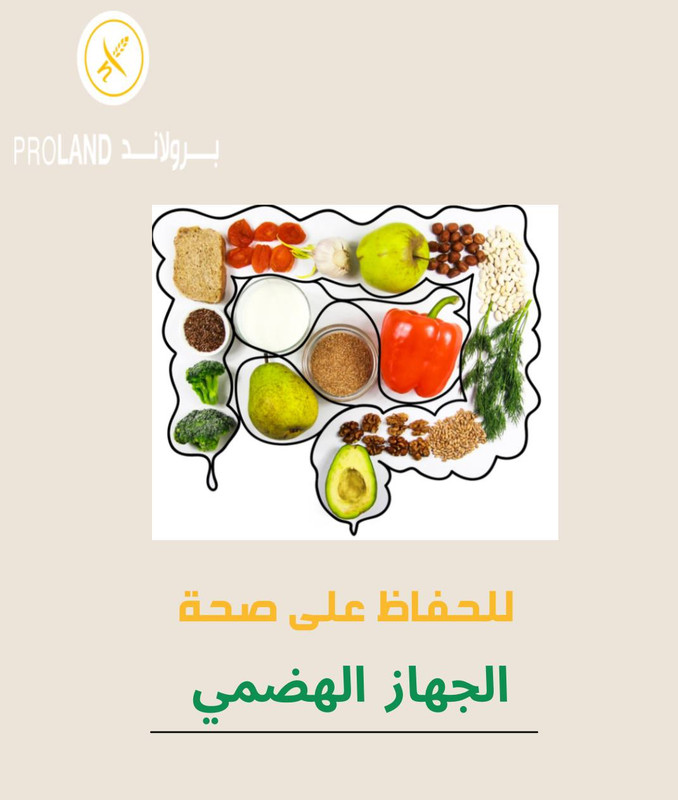 Blog Image 6