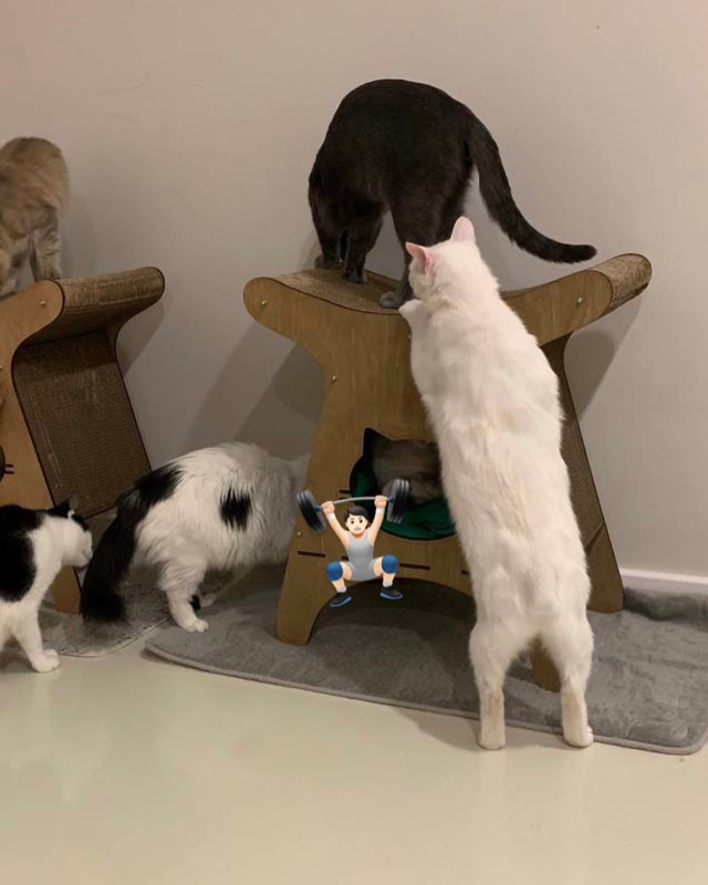 F64360D2-8BC3-484E-B6A8-2F43E812E276