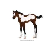 C0E0202B-4D4C-41F8-B6E6-322E1AF3655B