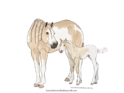 856664C0-D4C2-4278-9002-41A28FA7B65E