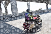 DSC-0264