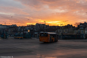 IMG-4531
