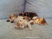 photo 34 2026 01 03 21 22 22