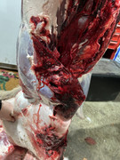 [Image: IMG-4386.jpg]