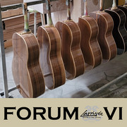 Larrivee- ForumVI-34