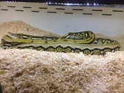 E865C1CB-DB4A-4E86-B74E-16E5BC68B175