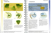 Betti-Barnden-Vyshivka-Entsiklopedia-47