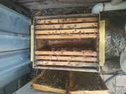 photo_2020-06-16_07-17-23