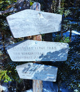 IMG 20260313 110138 356 1