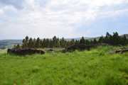 DSC-0223