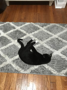 564B3388-B3F2-45D1-B295-6EB08B8F72B3