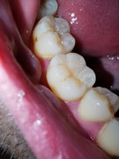 IMG-20210517-WA0030