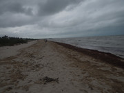 DSC00481