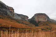 IMG-0389