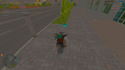 IMG-6705