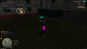 IMG-6696