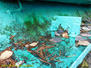 DSCN5074