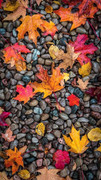 wp7756882-autumn-2021-wallpapers