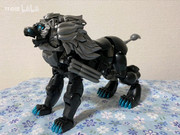 MP-48-Dark-Amber-Leo-Prime-14