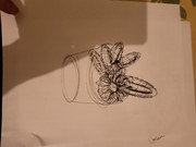 IMG-20240201-185642535