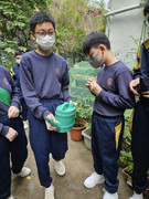 264fe4ea-6053-48b1-8012-0edb9956ad3d