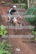 IMG-0333