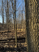 IMG-1021