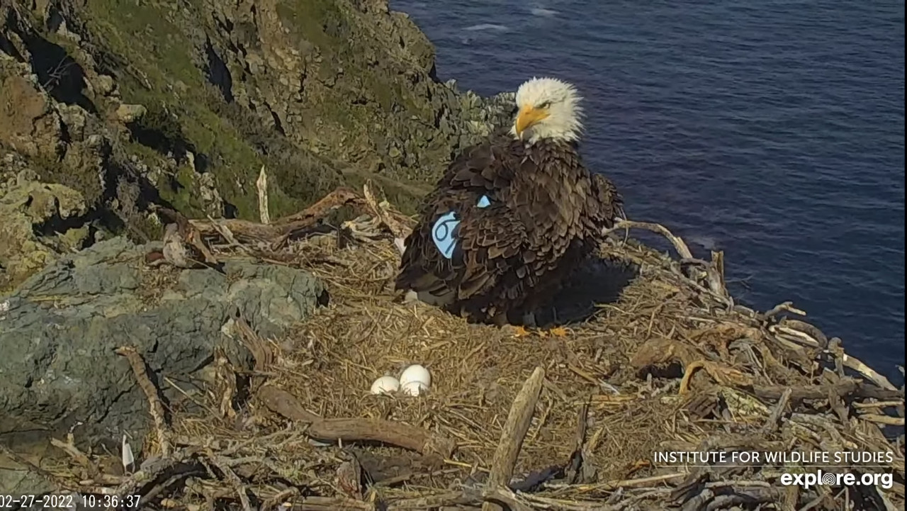 795D054B-A7F7-424F-B05F-DDB5E4FF889E