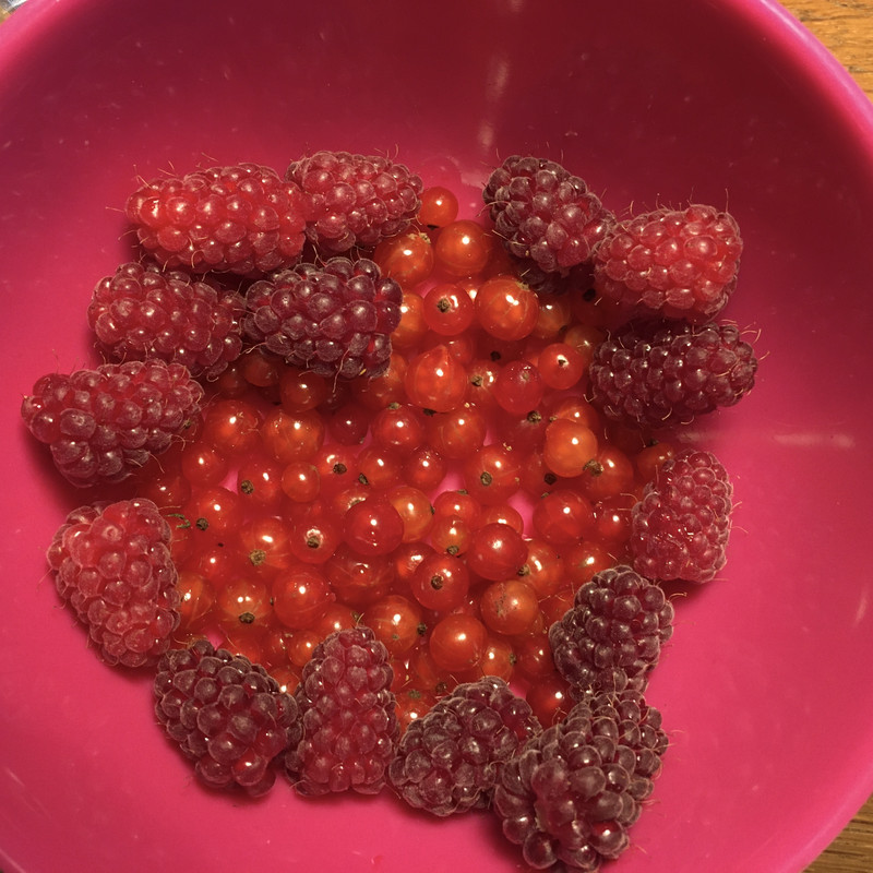 044FBADF-B30C-4C06-A743-0EAD2B5E290C