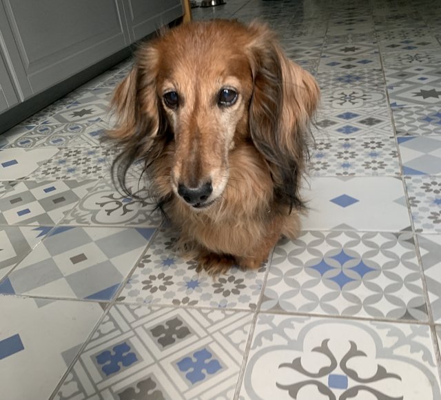 [Image: IMG-6642.jpg]