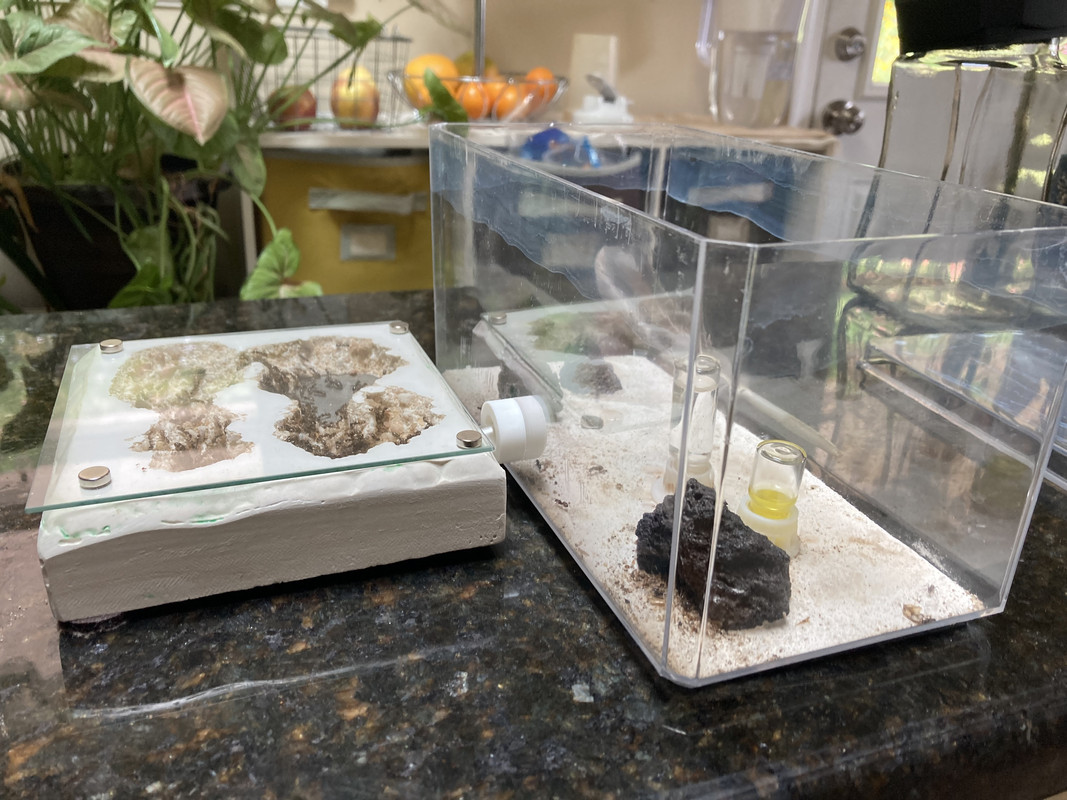 076FEDC7-0698-4862-85E1-5E4D2820E65A