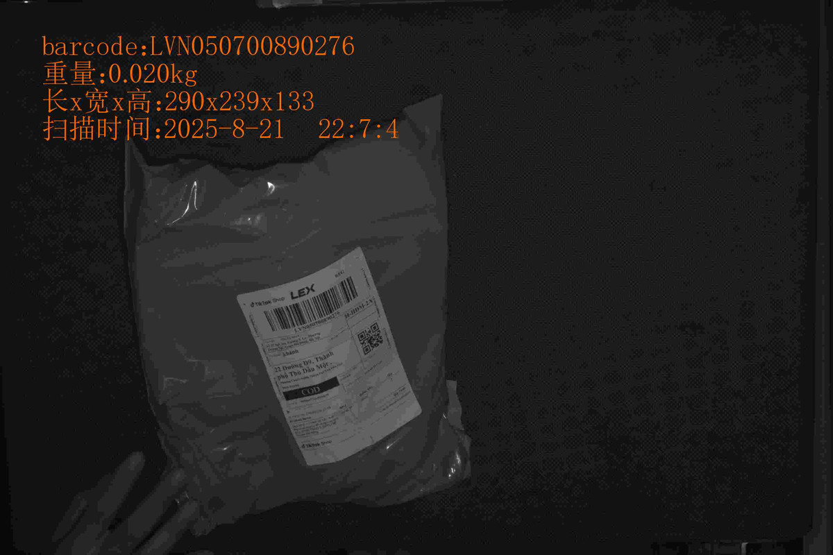 LVN050700890276_290_239_133_0.020_2025_8_21_22_7_4