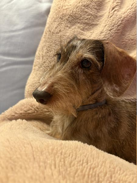 [Image: IMG-0925.jpg]