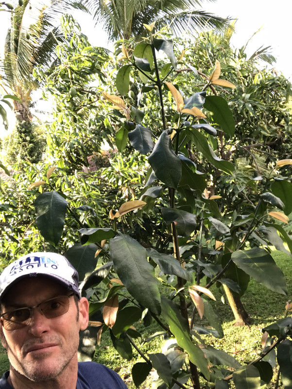 BC326D6C-0E1E-4DF4-9742-B7E481FA2FBE