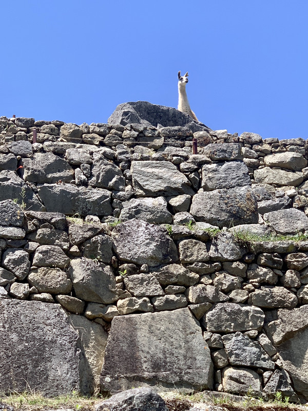 9AD5977E-F6AA-468B-BC98-70F9D8812560