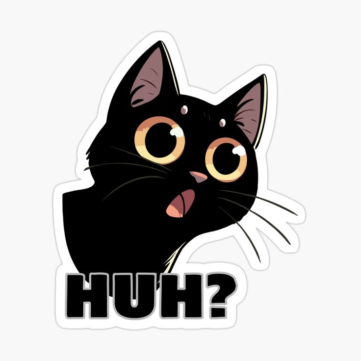 5b2ecd6dd5036cf2a2dd8893abbe50f6