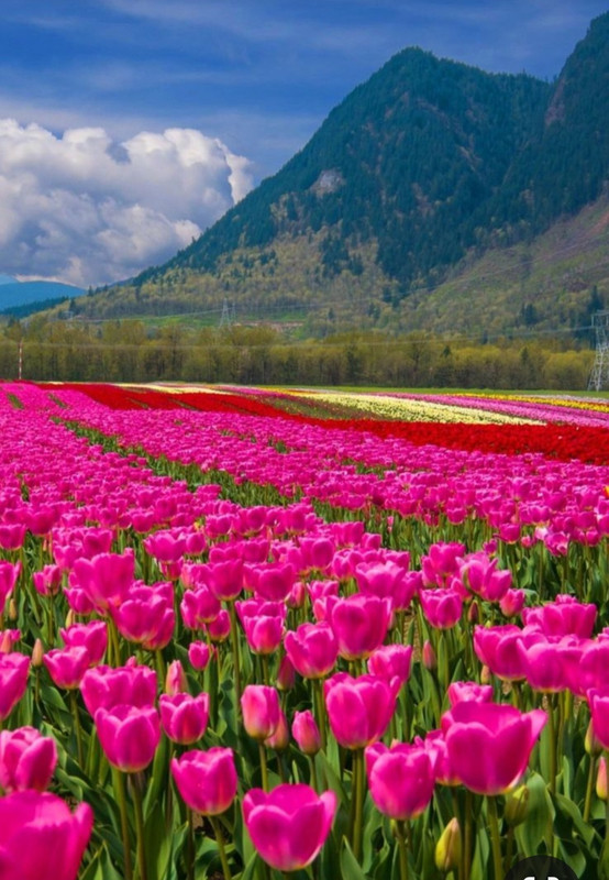 Screenshot_20240218_202348_Pinterest