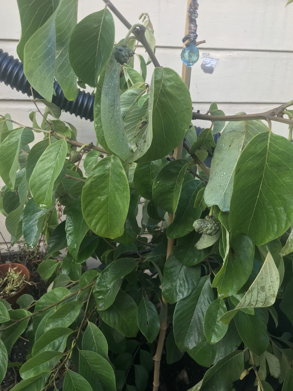 AF8135EB-B42D-4F64-A6FD-FFF1F9C646F2