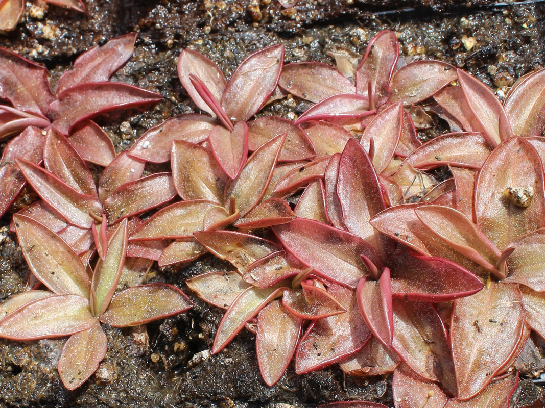 C1C20B97-B851-45DA-9E60-C9E72C30E3F7