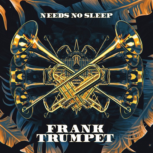 Needs No Sleep - Frank Trumpet (Extended Mix) [2022]