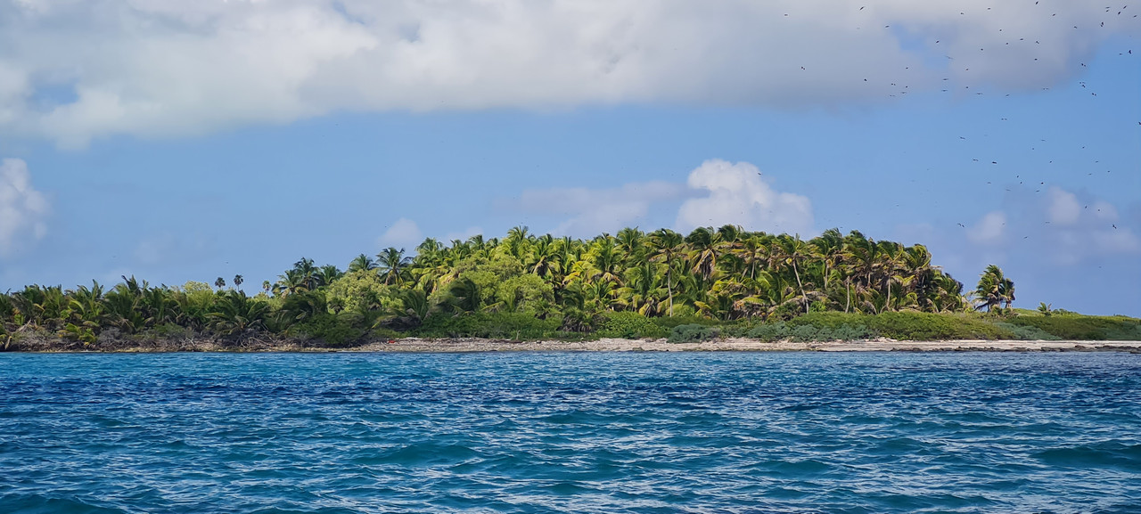 Isla Mujeres e Isla Contoy, un regalo de la naturaleza - Riviera Maya en Navidad (10)