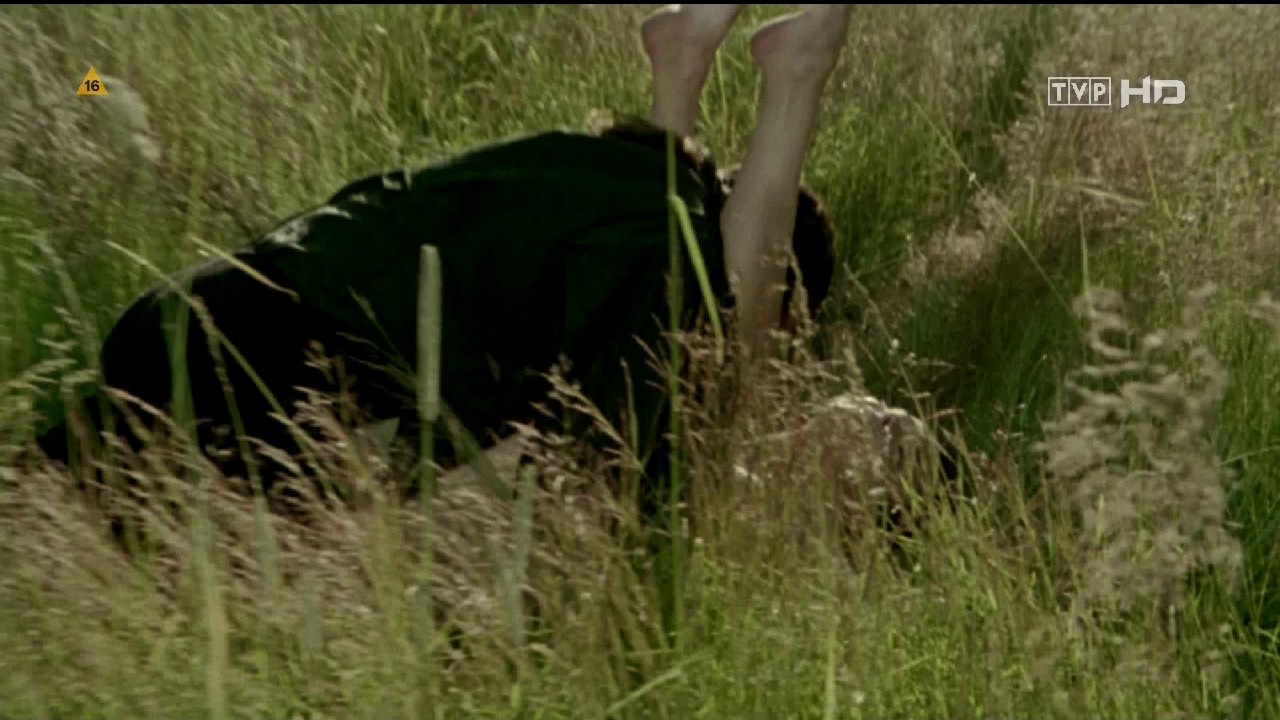 Devilish-Education-1995-HDTV-Pl-Ru-1080p-AVC-DD-2-0-ESub-mkv-0003