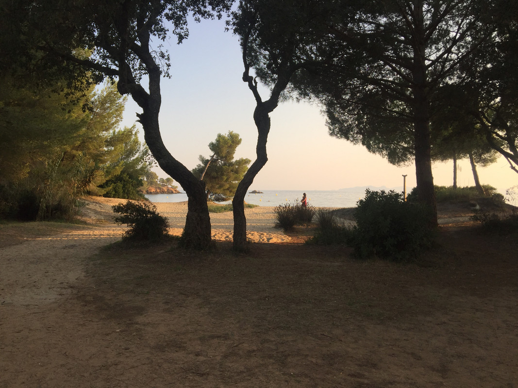 513A8E91-119F-456F-A09A-65C55B39FA81