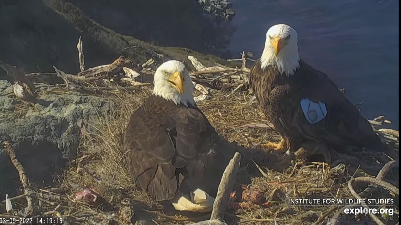 242C2ECB-AEF3-47CD-B820-FB7A1AE39422