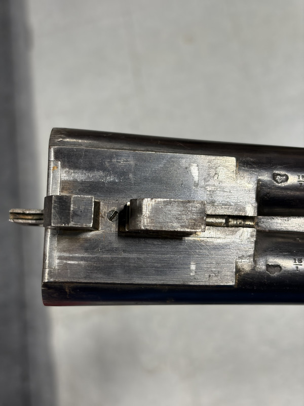 [Linked Image from i.postimg.cc]